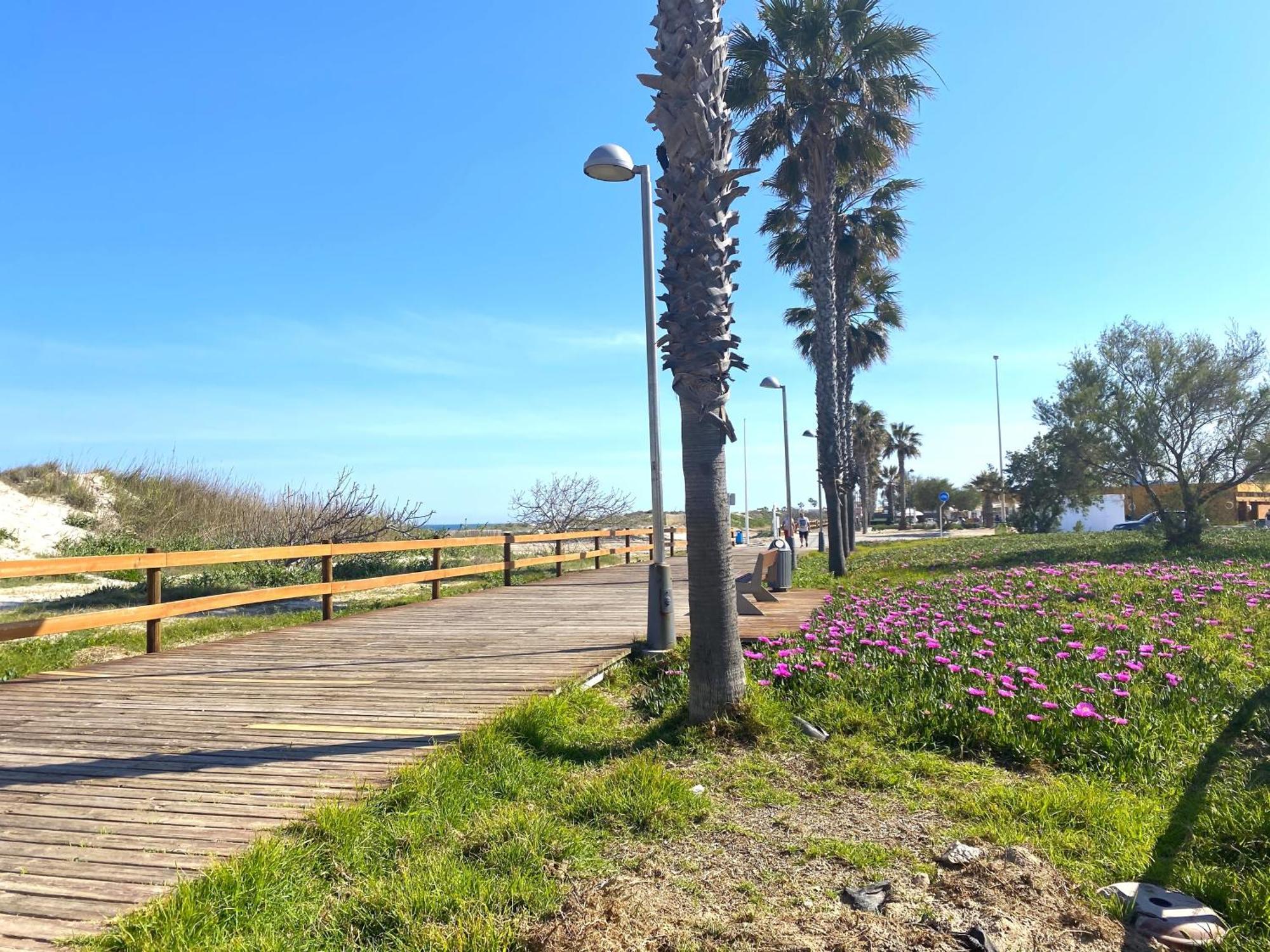 Precioso Apartamento A Tan Solo 300 M De La Playa Пилар де ла Горадада Экстерьер фото